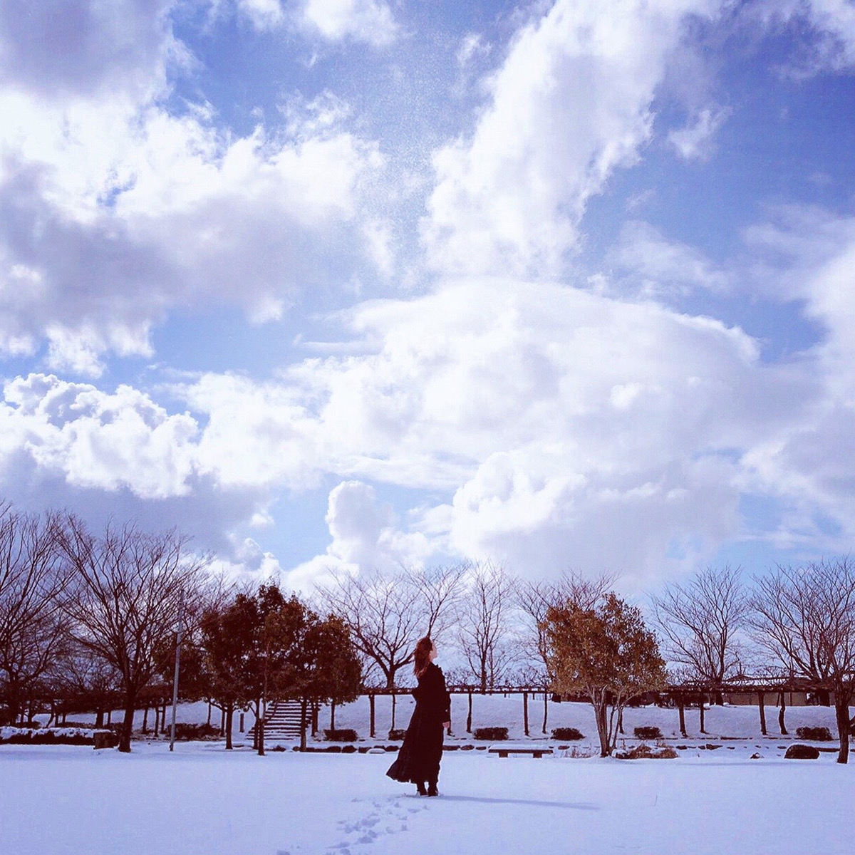 リノアネラの世界を見上げる