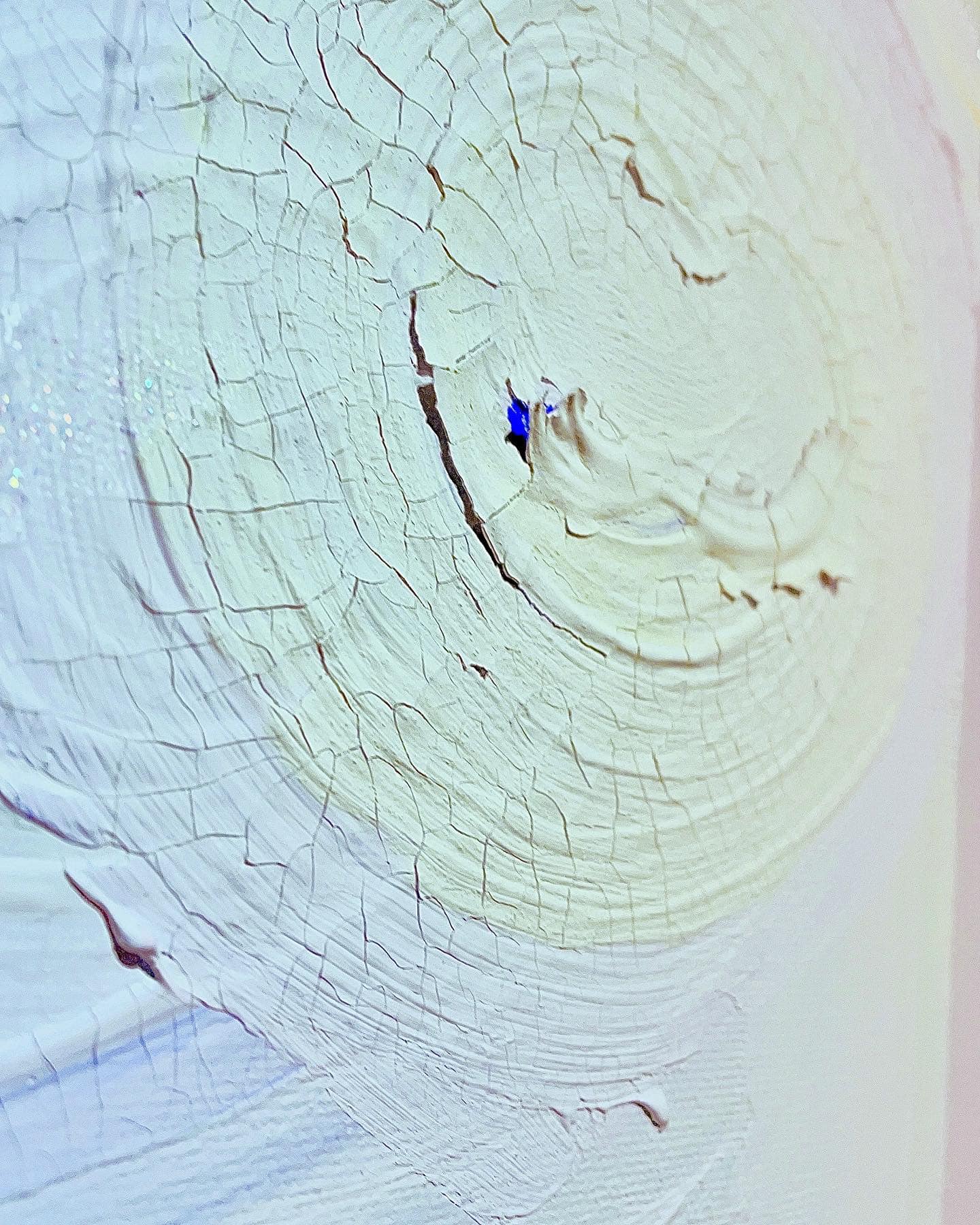 地球の音色 作品