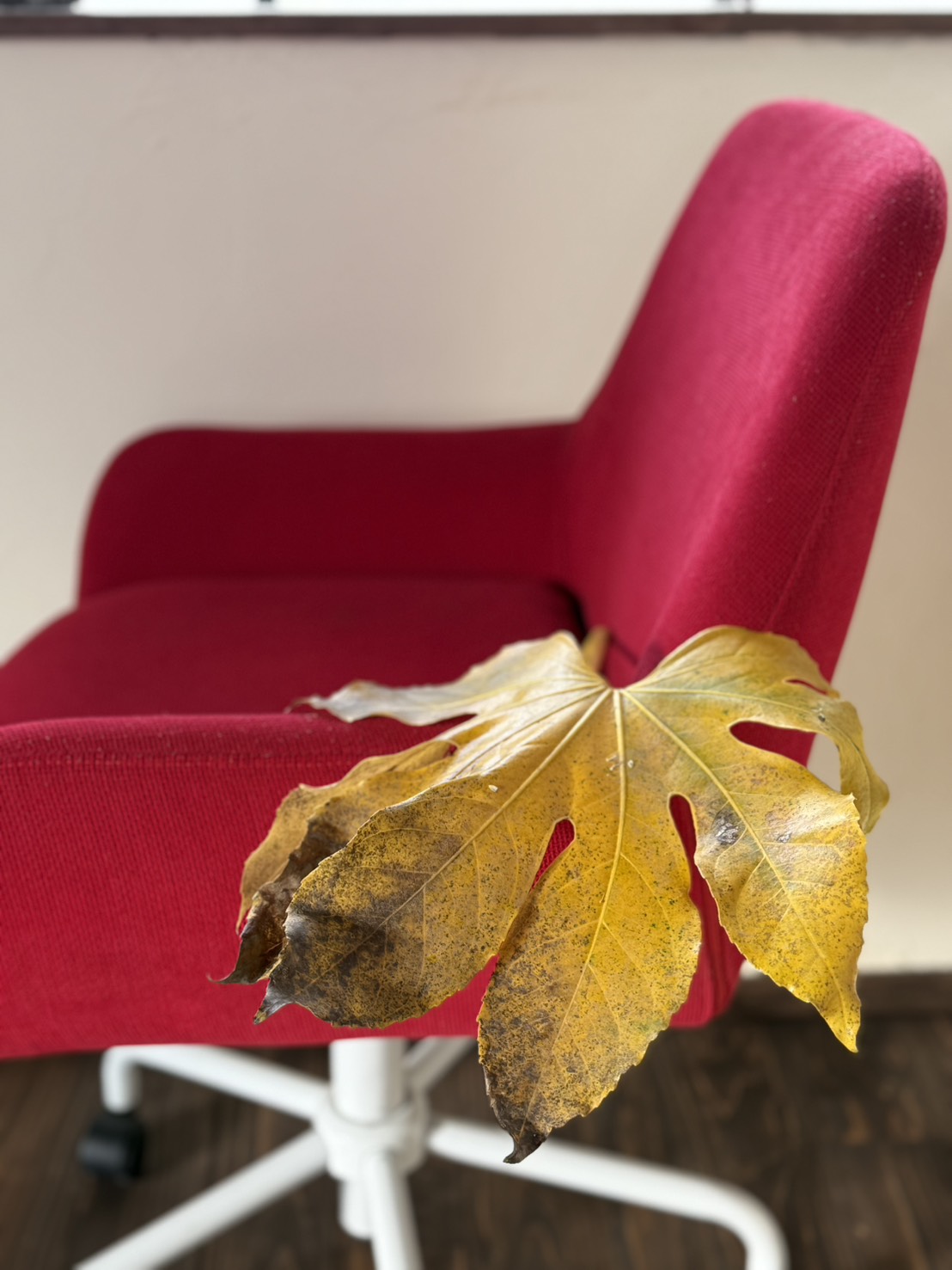 WITCHHOUSEプレート